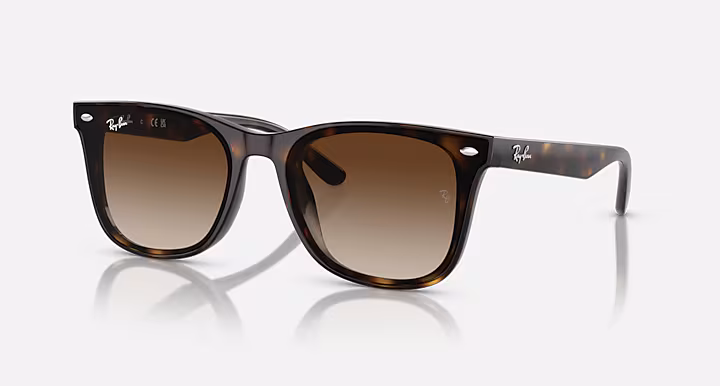 Ray-Ban Sunglasses