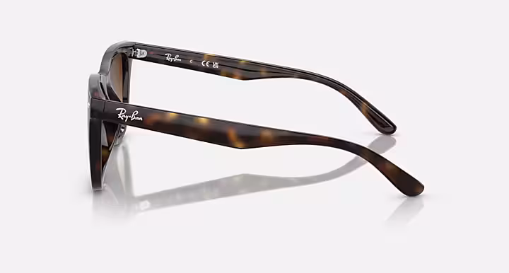 Ray-Ban Sunglasses