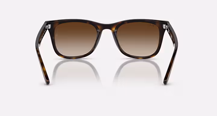 Ray-Ban Sunglasses