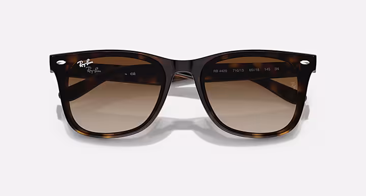 Ray-Ban Sunglasses