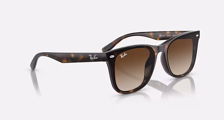 Ray-Ban Sunglasses